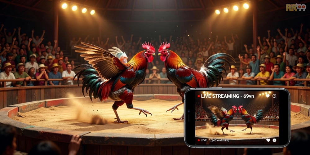 Giới thiệu khái niệm trực tiếp đá gà hôm nay 69vn với hình ảnh minh họa chất lượng cao